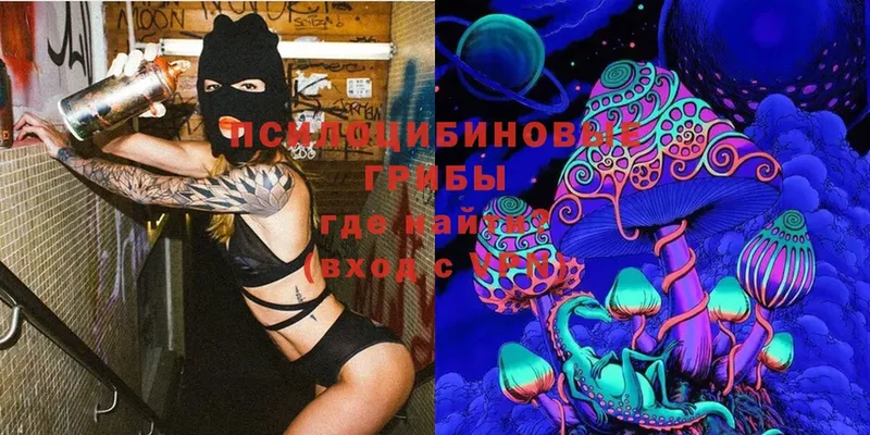 Галлюциногенные грибы Magic Shrooms  Серпухов 